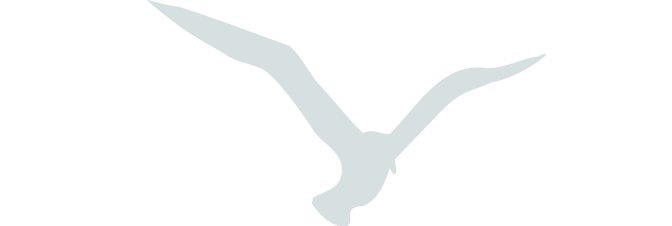 Custom Image