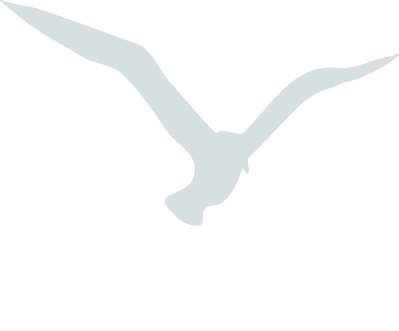 Custom Image